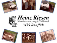 Viehhandel Riesen