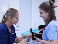 Kleintierpraxis Vivavet GmbH