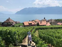 Lavaux Vinorama