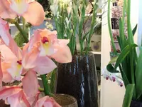 Floradiso AG | Blumenladen | Floristik | Trauerfloristik | Hochzeitsfloristik