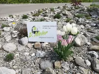 D. Meier Umgebungsarbeiten GmbH