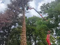 Paysarbres Sàrl - Klicken Sie, um das Bild 10 in einer Lightbox vergrössert darzustellen