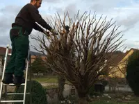 Garten Bürli GmbH