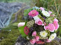 Blumen Zweerus