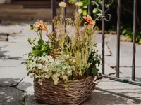 Blumen Schweizer