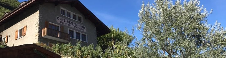 Plan-Cerisier