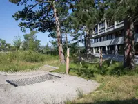 Naturag Gartenbau AG