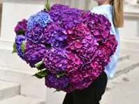 Fleuriot Fleurs, Fleuriste la Corraterie