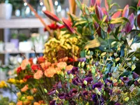 Schneebeli Blumen & Garten