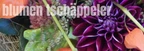 Blumen Tschäppeler