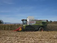 F. Frossard & Fils - Klicken Sie, um das Bild 18 in einer Lightbox vergrössert darzustellen