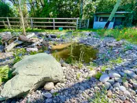 Wildblumendienst