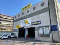 Mercato della Gomma SA