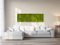 Widler Gartenbau + Floristik AG