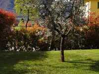 ELLEMME Giardini di Luca Maruca
