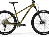 PREMIUM BIKE - LOCARNO
