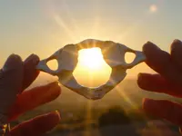 a t l a s a t e l i e r  Praxis für Atlaslogie  Simone Witzig