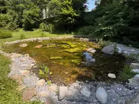 Gartencoach Dario Peyer