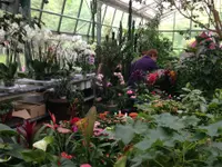 Blumen Müller