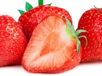 Dreyer AG - Früchte, Gemüse, Tiefkühlprodukte