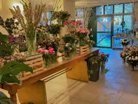 Blumen Müller