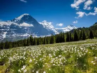 Eiger Mountain & Soul Resort
