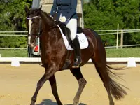 MANEGE DE GRANGES-SUR- MARLY Sàrl