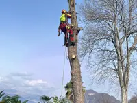 Carlo Bagutti Giardiniere - Klicken Sie, um das Bild 12 in einer Lightbox vergrössert darzustellen