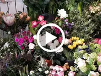 A la fleur de Lotus