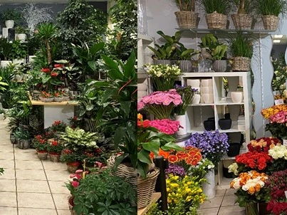 Blumenboutique Goos - Klicken, um das Panorama Bild vergrössert darzustellen