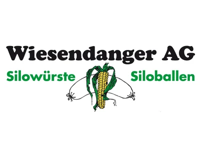 WIESENDANGER AG