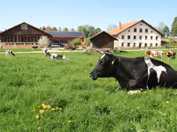 Ferme de la Famille Rais Gabriel Rais