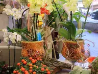 Design Flowers