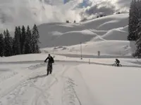 Fredy's Bikewält - Klicken Sie, um das Bild 6 in einer Lightbox vergrössert darzustellen