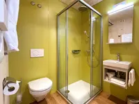 Hotel des alpes Fiesch