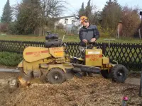 Koch Gartenbau GmbH