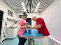 Centro Veterinario Daniele Varini - Klicken Sie, um das Bild 2 in einer Lightbox vergrössert darzustellen