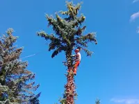 Koch Gartenbau GmbH