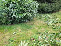 Mahrer Gartenbau GmbH