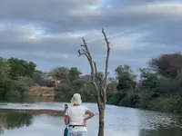 L'Œil Sauvage - Wildlife Experience