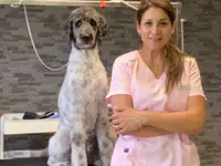 Patty's Hundesalon