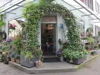 Blumen Pasadena