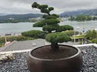 Josef Burri Gartenbau AG - Klicken Sie, um das Bild 1 in einer Lightbox vergrössert darzustellen