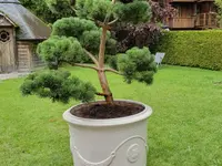 GartenTeam Inäbnit AG