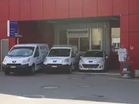 Dileo Enzo GmbH