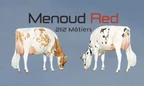 Menoud frères SNC