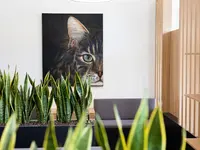 Kleintierpraxis Seegarten AG