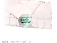 FF AL BUON COMMERCIO SAGL