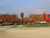 Chenuz bois de feu Sàrl