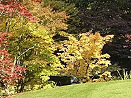 AB Baratella Giardini Sagl - Klicken Sie, um das Bild 2 in einer Lightbox vergrössert darzustellen